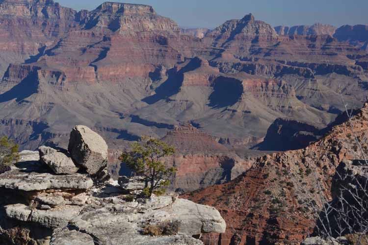 south rim